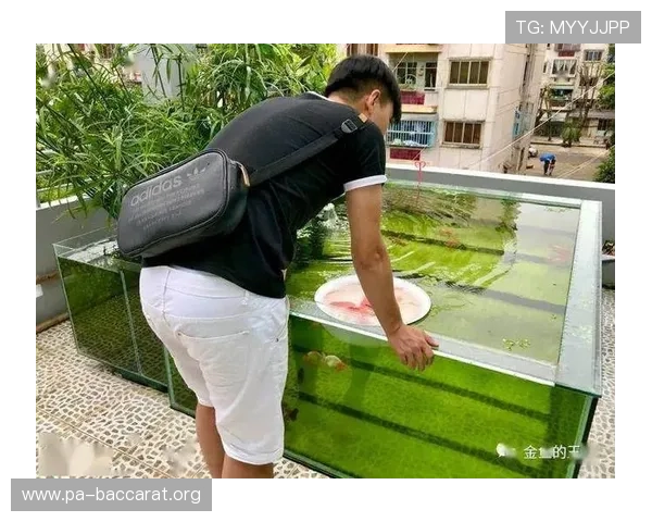 看鱼用尾巴踢足球震撼全场这神奇球技让人目不转睛纷纷惊叹不已呢